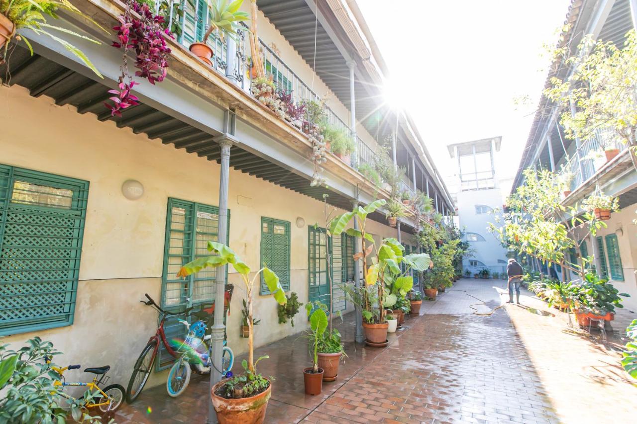 Apartamento 3 Dormitorios En Calle San Vicente. Севиля Екстериор снимка
