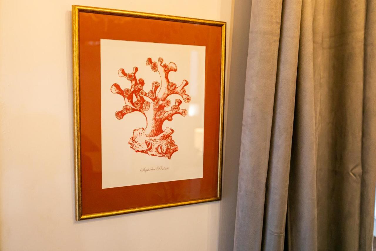 Apartamento 3 Dormitorios En Calle San Vicente. Севиля Екстериор снимка